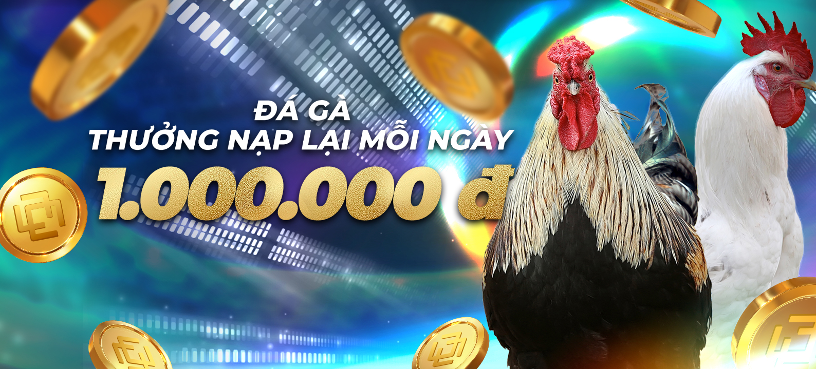 Nạp lại hàng ngày – Đá Gà: 12% lên đến 1.000.000 VND