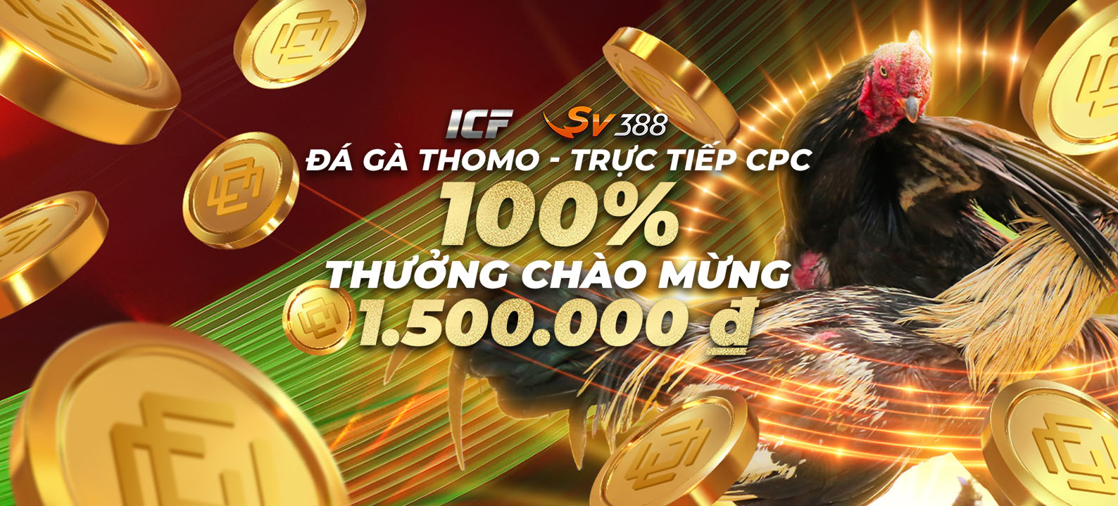 ĐÁ GÀ THOMO 100% Thưởng Nạp Lần Đầu